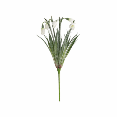 Rametto bucaneve - TonoSuTono